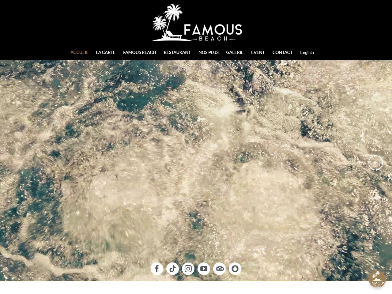 Famous Beach website